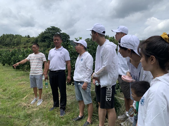 實(shí)踐隊(duì)在村主任伍玉炎帶領(lǐng)下參觀贛南臍橙種植園。福建船政交通職業(yè)學(xué)院供圖